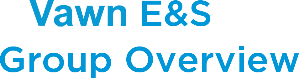 Vawn E&S Group Overview